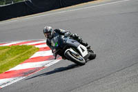 brands-hatch-photographs;brands-no-limits-trackday;cadwell-trackday-photographs;enduro-digital-images;event-digital-images;eventdigitalimages;no-limits-trackdays;peter-wileman-photography;racing-digital-images;trackday-digital-images;trackday-photos